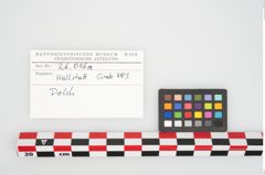 Etikett zu Bimetallantennendolch (NHMW-PRAE-026016a)